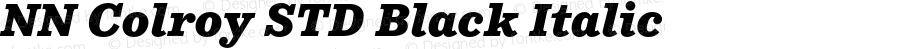 NN Colroy STD Black Italic