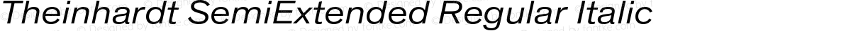 Theinhardt SemiExtended Regular Italic
