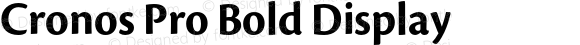 Cronos Pro Bold Display Version 2.040;PS 002.000;hotconv 1.0.51;makeotf.lib2.0.18671