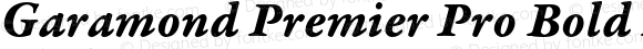 Garamond Premier Pro Bold Italic Caption
