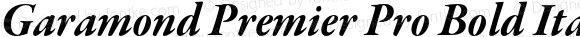 Garamond Premier Pro Bold Italic Subhead