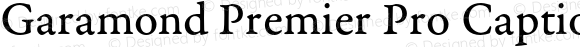 Garamond Premier Pro Caption