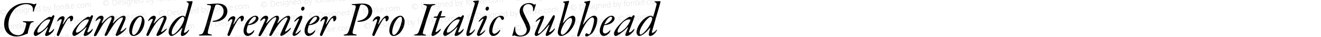 Garamond Premier Pro Italic Subhead