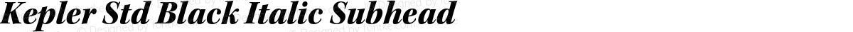 Kepler Std Black Italic Subhead