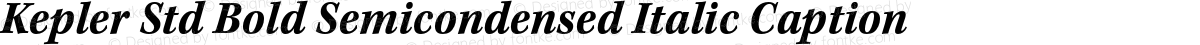 Kepler Std Bold Semicondensed Italic Caption