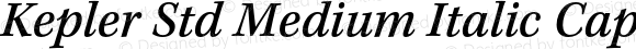 Kepler Std Medium Italic Caption