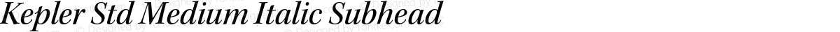 Kepler Std Medium Italic Subhead