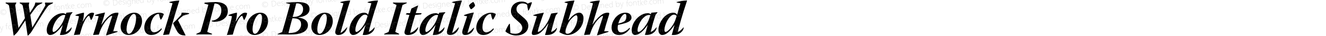 Warnock Pro Bold Italic Subhead