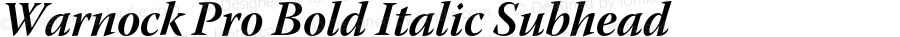 Warnock Pro Bold Italic Subhead