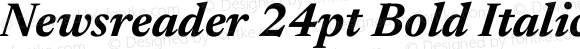 Newsreader 24pt Bold Italic