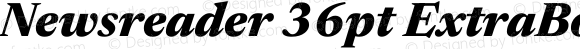 Newsreader 36pt ExtraBold Italic