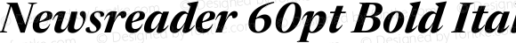 Newsreader 60pt Bold Italic