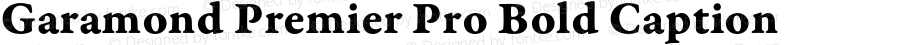 Garamond Premier Pro Bold Caption