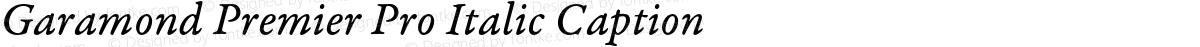 Garamond Premier Pro Italic Caption