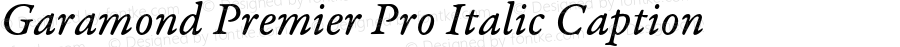 Garamond Premier Pro Italic Caption