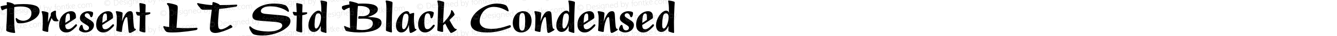 Present LT Std Black Condensed