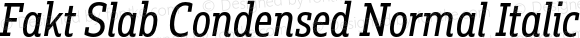 Fakt Slab Condensed Normal Italic