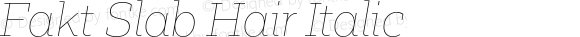 Fakt Slab Hair Italic