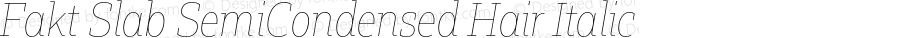 FaktSlabSemiCondensed-HairItalic