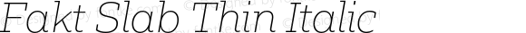 Fakt Slab Thin Italic