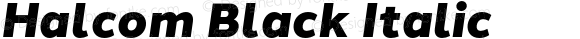 Halcom Black Italic