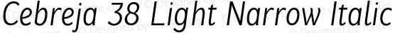 Cebreja 38 Light Narrow Italic