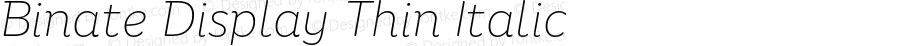 Binate Display Thin Italic