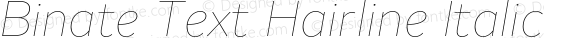 Binate Text Hairline Italic