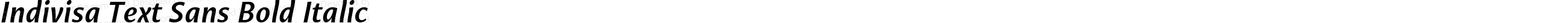 Indivisa Text Sans Bold Italic