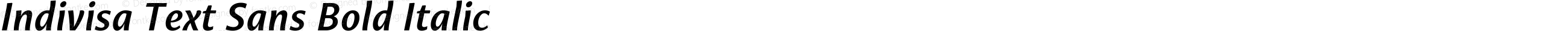 Indivisa Text Sans Bold Italic