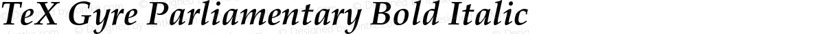 TeX Gyre Parliamentary Bold Italic