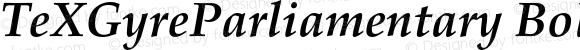 TeXGyreParliamentary Bold Italic