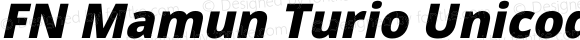 FN Mamun Turio Unicode Bold Italic