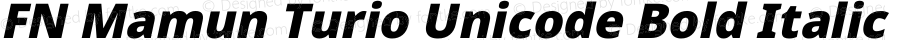 FN Mamun Turio Unicode Bold Italic
