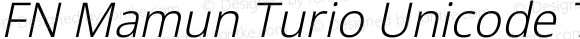 FN Mamun Turio Unicode Thin Italic