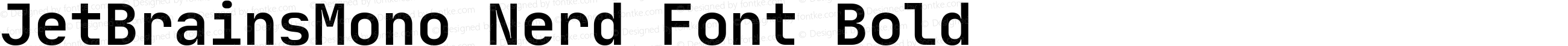 JetBrains Mono Bold Nerd Font Complete