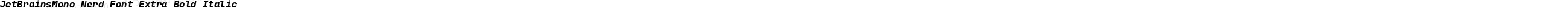 JetBrainsMono Nerd Font Extra Bold Italic
