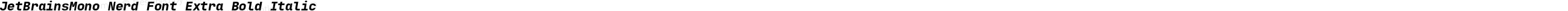 JetBrainsMono Nerd Font Extra Bold Italic