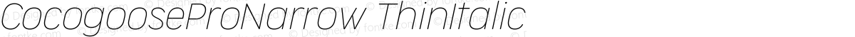 CocogooseProNarrow ThinItalic