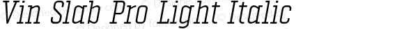 Vin Slab Pro Light Italic