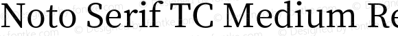 Noto Serif TC Medium Regular