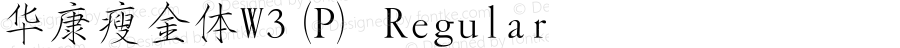 华康瘦金体W3(P) Regular Version 1.110 {DfLp-KBJK-9K93-GLVG-4T31}