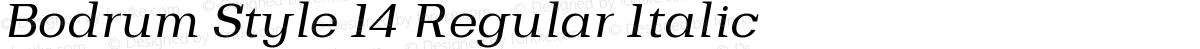 Bodrum Style 14 Regular Italic