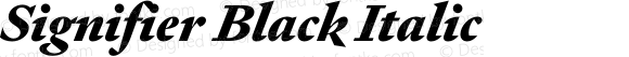 Signifier Black Italic