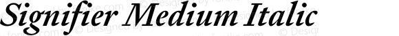 Signifier Medium Italic