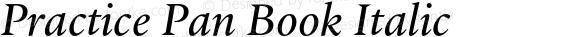 PracticePan-BookItalic