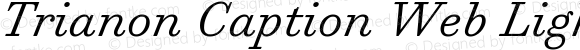 Trianon Caption Web Light Italic