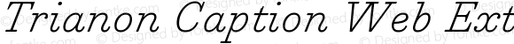 Trianon Caption Web ExtraLight Italic