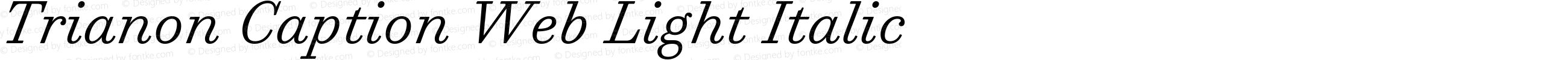 Trianon Caption Web Light Italic