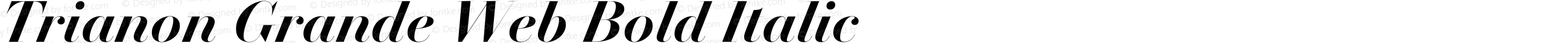 Trianon Grande Web Bold Italic